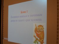 SAM 3399  Викторина «Правовой эрудит»